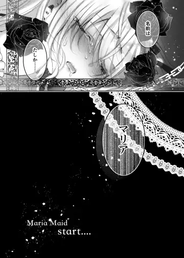 [Yamato Hotaru] Maria xx Maid Fhentai - Page 20