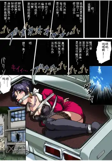 [Hiro] Bodyguard Fhentai - Page 18