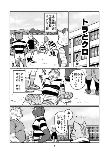 Read [Maririn] Tora and Kuro - Fhentai