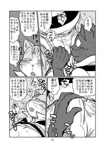 [Maririn] Tora and Kuro Fhentai - Page 11