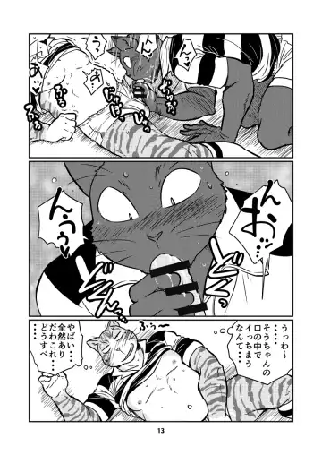 [Maririn] Tora and Kuro Fhentai - Page 13