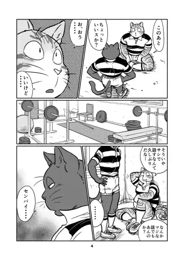 [Maririn] Tora and Kuro Fhentai - Page 4