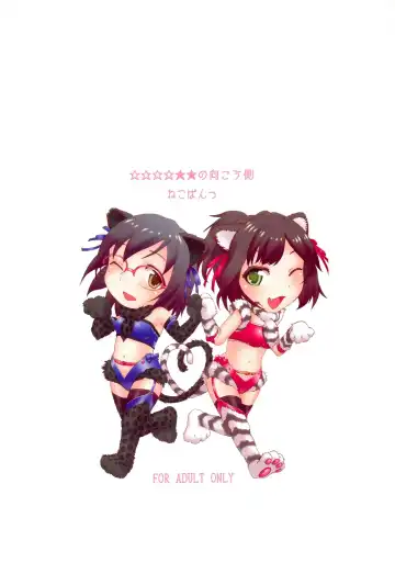 [Hanma Akira] ] ☆☆☆☆★★ no Mukougawa Fhentai - Page 18