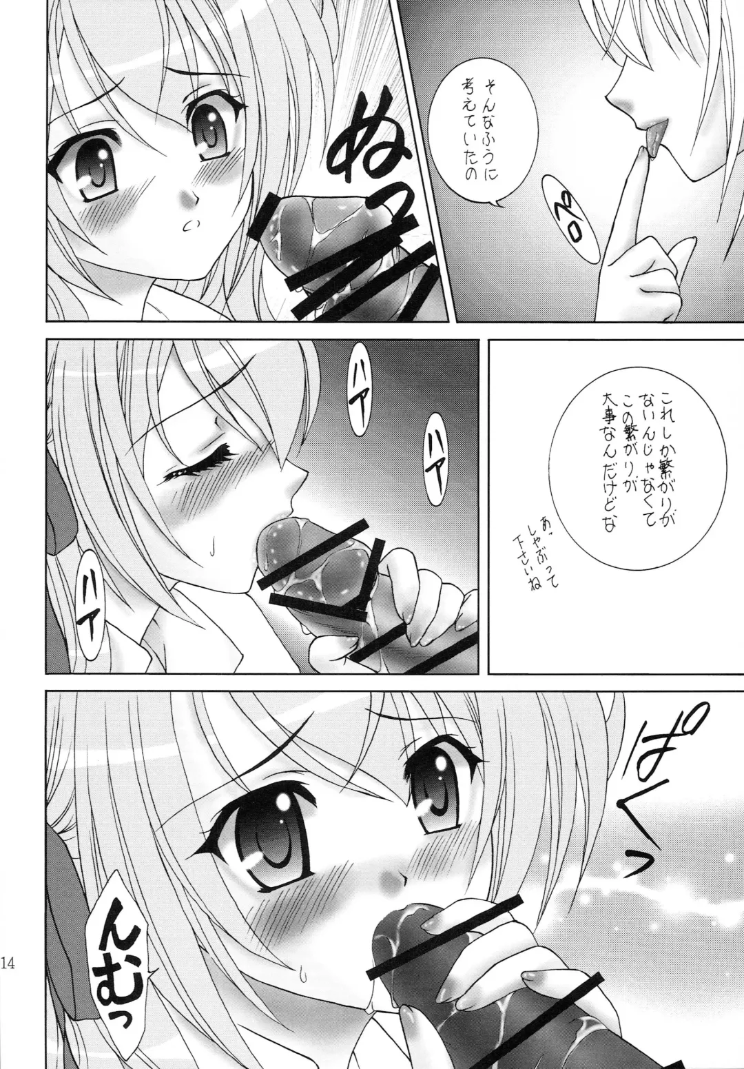 [Aimirucha] Naisho no Seitokai Shitsu Fhentai - Page 13