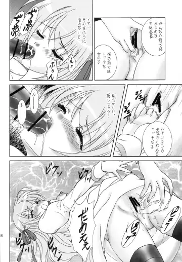 [Aimirucha] Naisho no Seitokai Shitsu Fhentai - Page 15