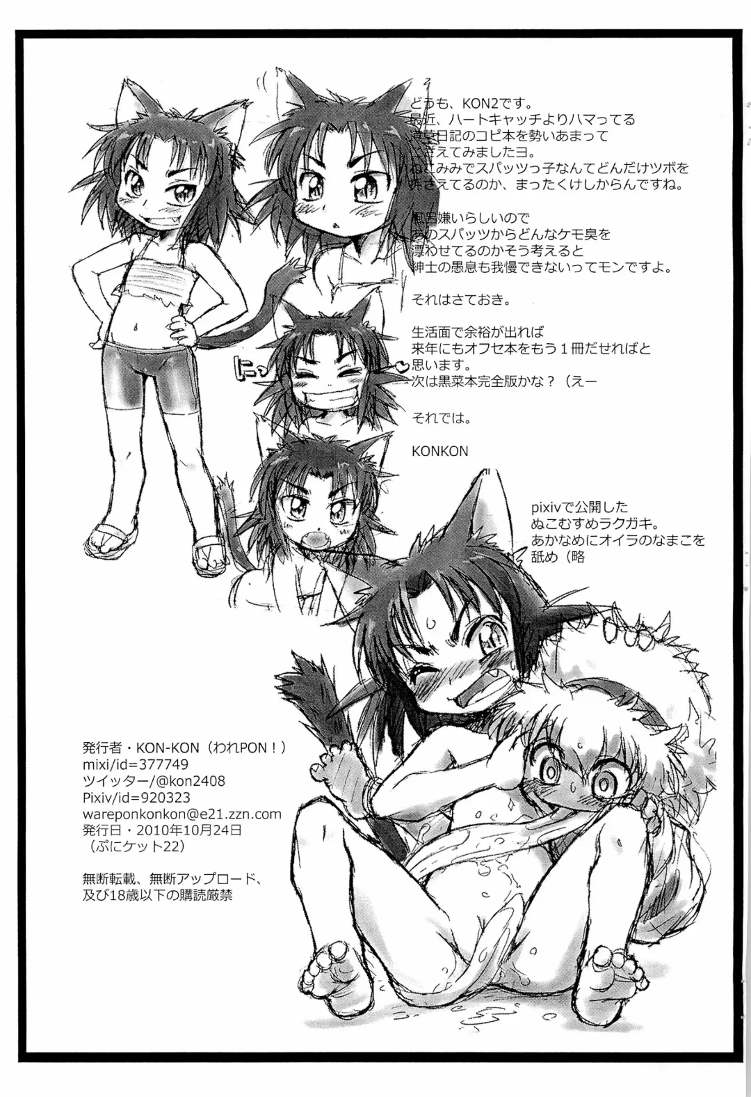 [Konkon] Neko Musyume Fhentai - Page 15