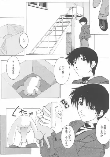 Bunny Girl Anthology Comics Fhentai - Page 57