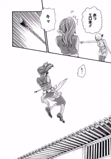 [Haruki] Ara Kusa Ninpo Cho Fhentai - Page 33