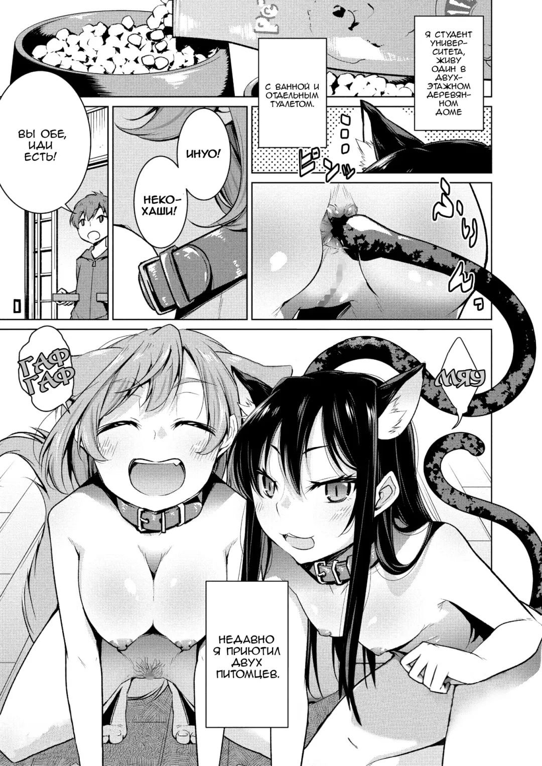 [Yukiri Takashi] Narikiri Wan Nyan Fhentai - Page 1