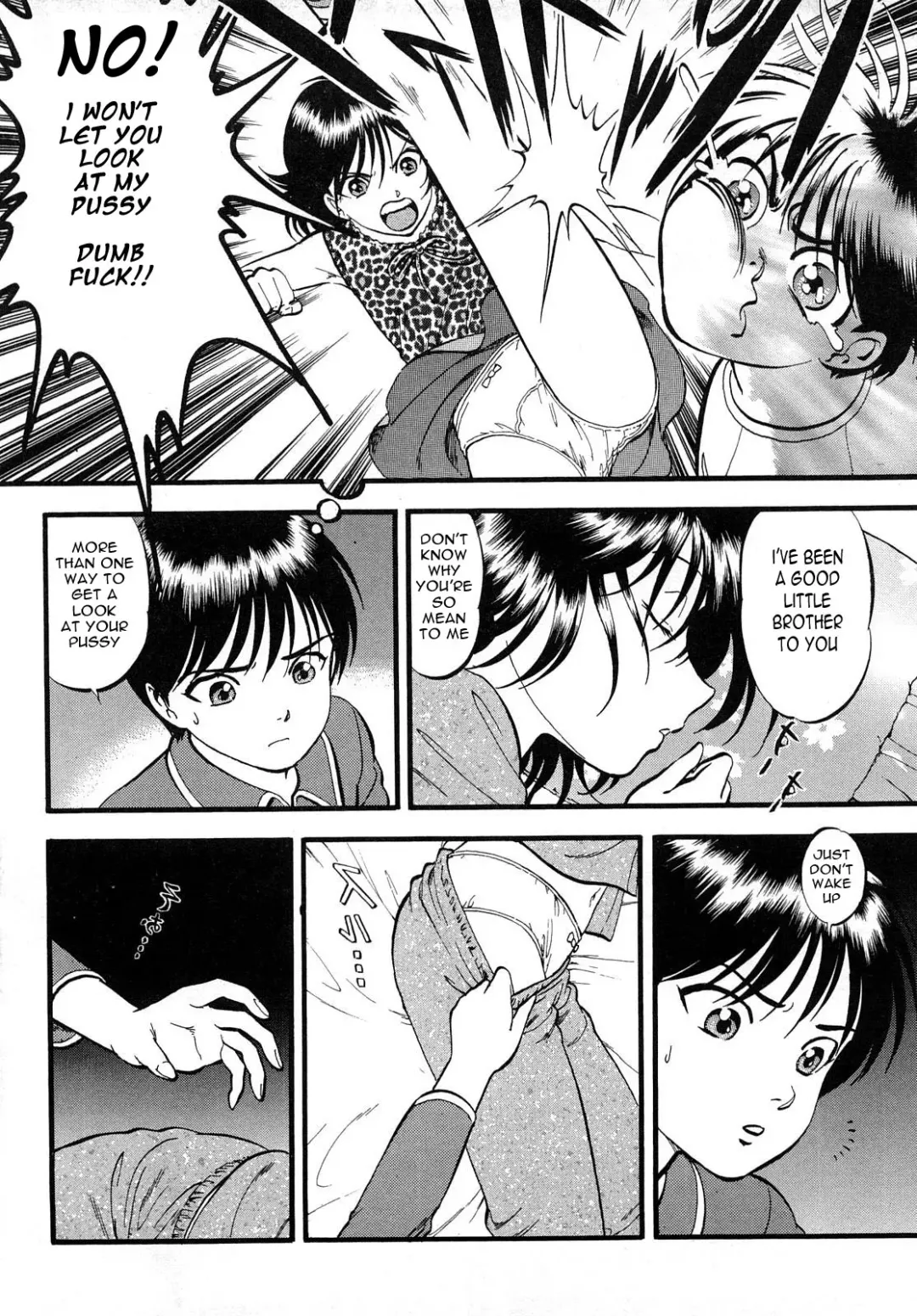 [Yoriu Mushi] Brothers Quest Fhentai - Page 3