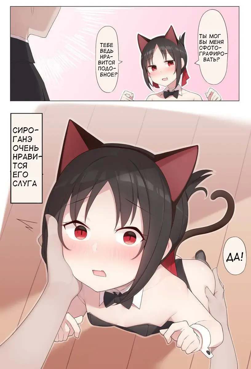 [Alapi] Nekomimi no Kaguya-sama Fhentai - Page 1