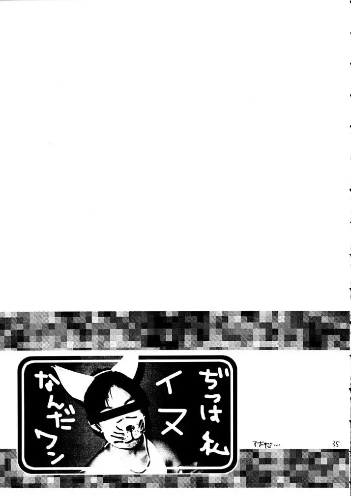 [Mokamoka] NEKONEKO TAIKAI2 Fhentai - Page 34