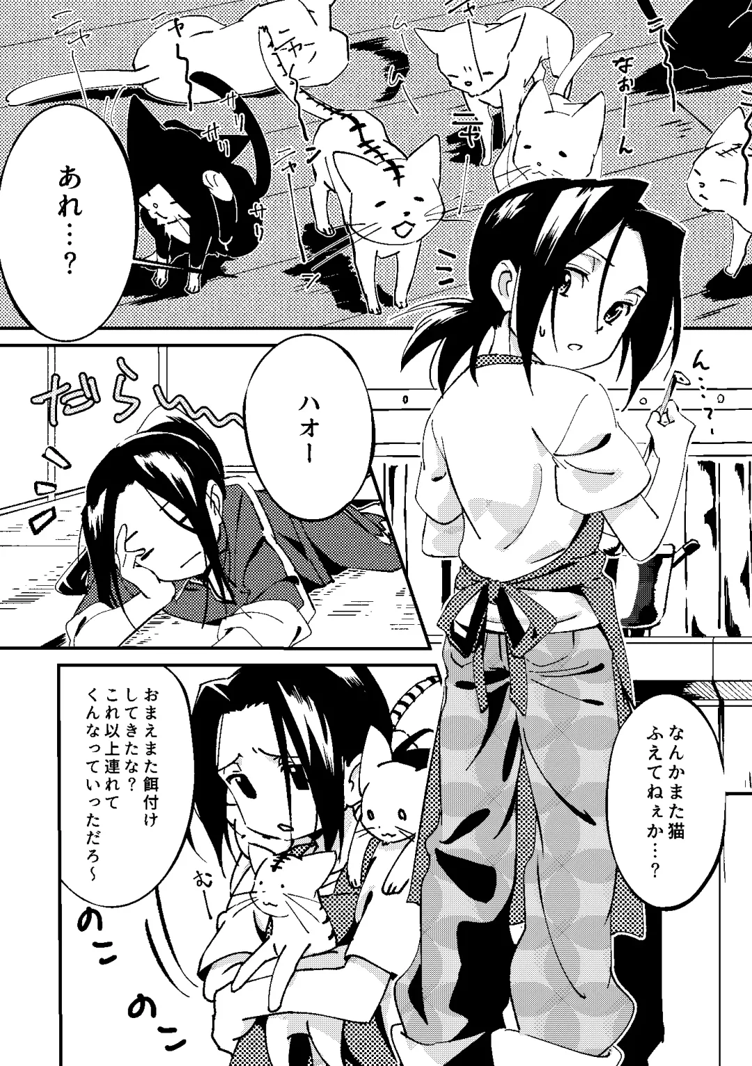 [Kouheki] Boro Goya HaoYoh Sairokushuu Fhentai - Page 17