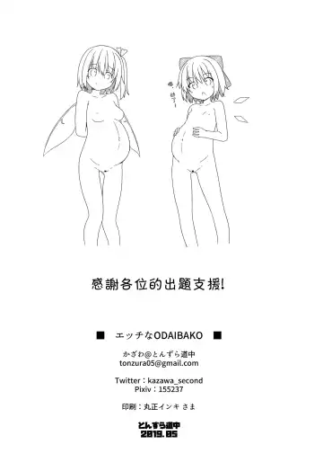 [Kazawa] Ecchi na ODAIBAKO -Touhou Hen- | 色色的命题箱 -東方編- Fhentai - Page 10