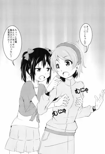 [Rapton] Nico LOVE 100%! Fhentai - Page 17