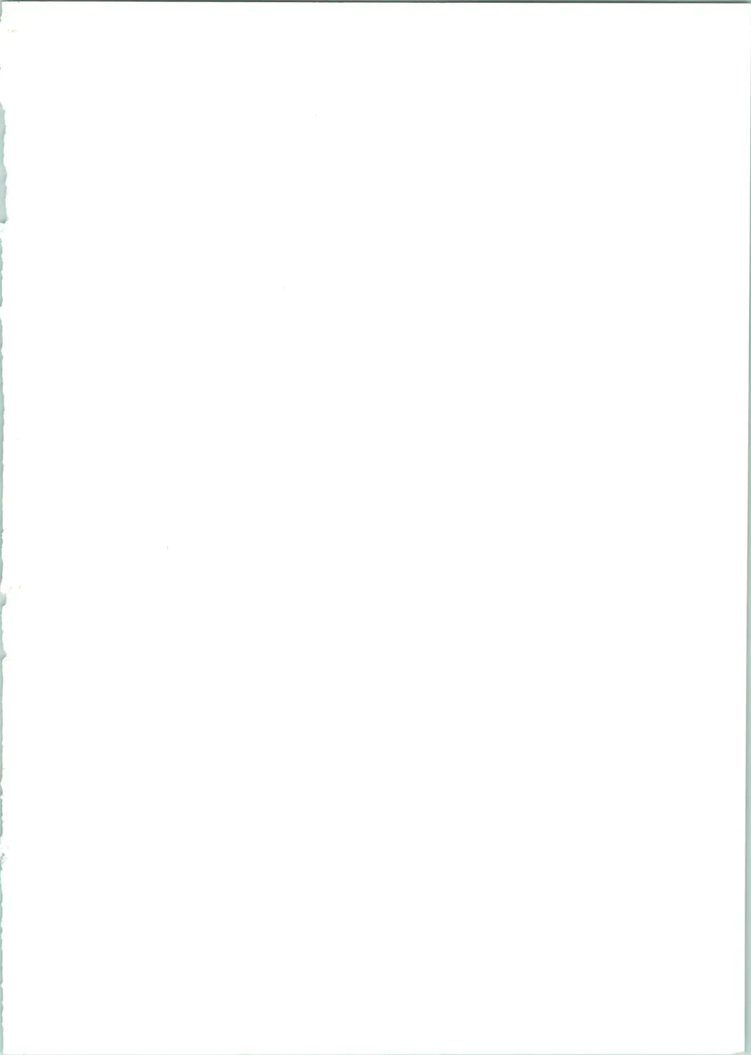 [Naokichi.] Nightmare Fhentai - Page 3