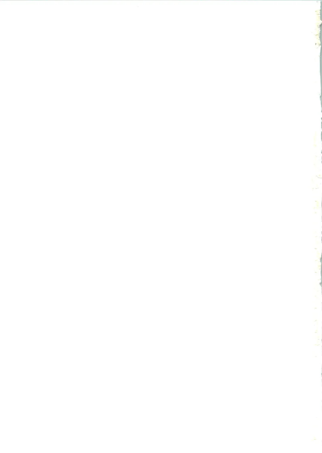 [Naokichi.] Nightmare Fhentai - Page 42