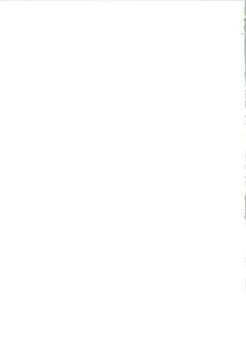 [Naokichi.] Nightmare Fhentai - Page 42