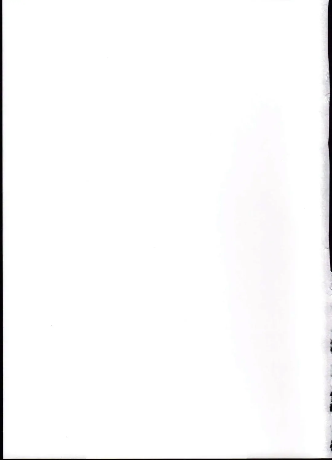 [Tsurugi Ai] SHG:02 Fhentai - Page 31