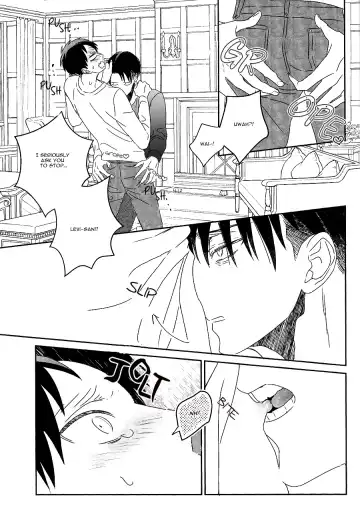 [Masao - Toraco] Ackermann Family Fhentai - Page 20