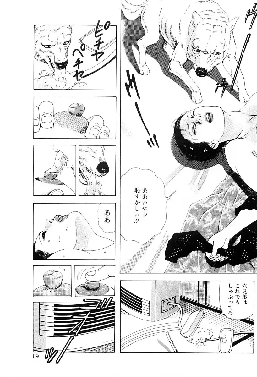 [Irikura Hiroshi] Inkou no Tawamure Fhentai - Page 20