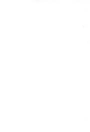 [Tako Kuboh] HI-PHS VII Fhentai - Page 4