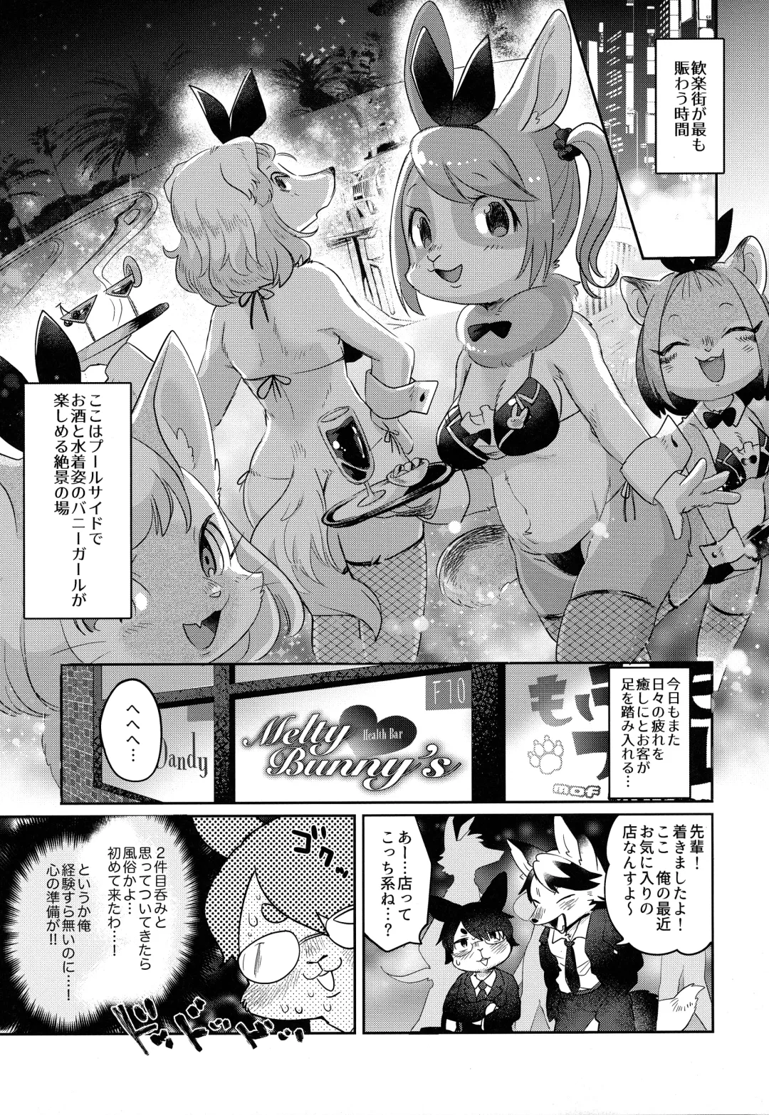 [Mabo] Youkoso! Melty Bunny's e Fhentai - Page 4