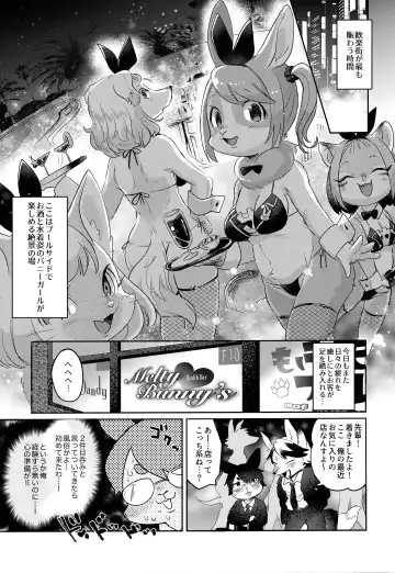 [Mabo] Youkoso! Melty Bunny's e Fhentai - Page 4