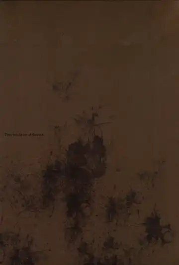 [Endou Okito] Succura no Takkei - The crucifixion of Succura Fhentai - Page 38