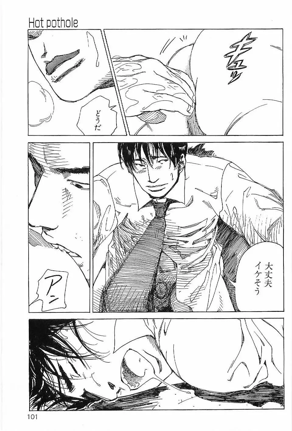 [Hira Hiro] Monopole Fhentai - Page 100