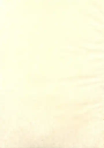 [Inumori Sayaka - Tondabayashi Sayaka] HARMONIUS 3 Fhentai - Page 2