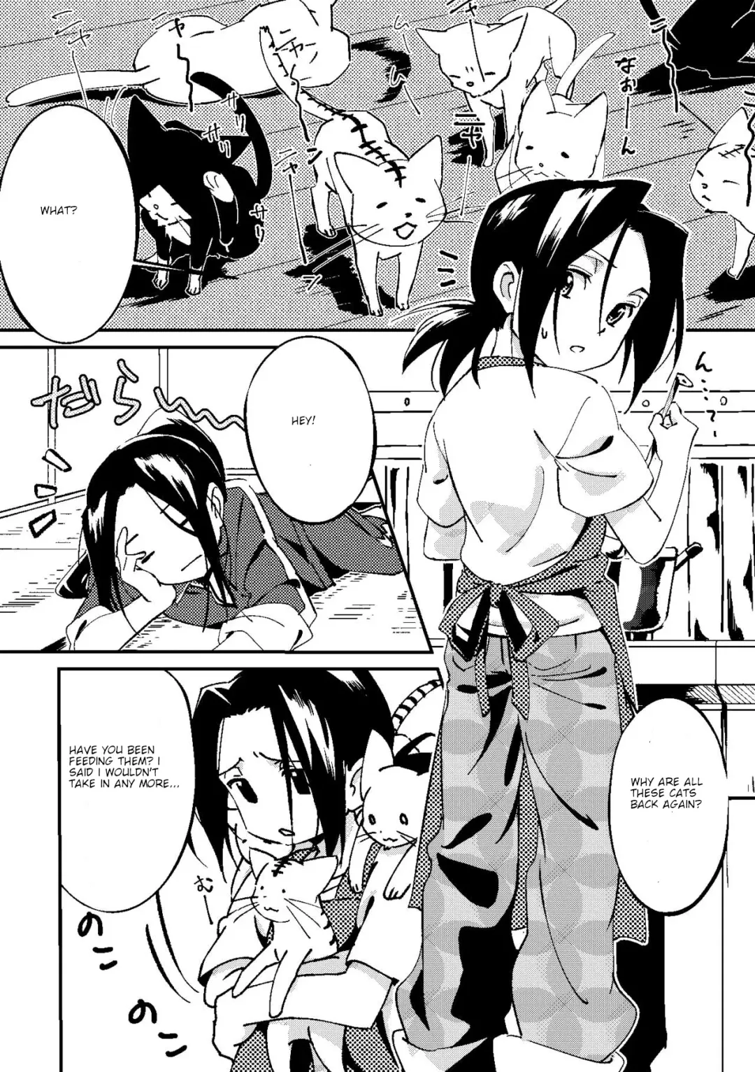 [Kouheki] Boro Goya HaoYoh Sairokushuu Fhentai - Page 17