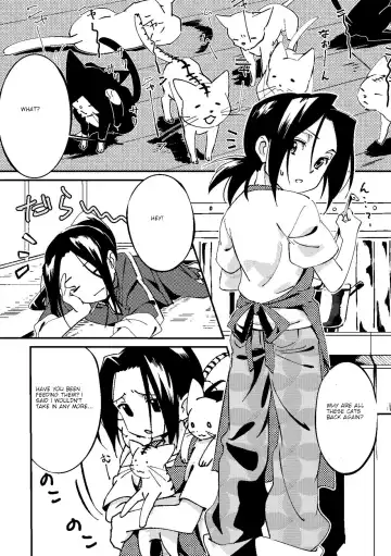 [Kouheki] Boro Goya HaoYoh Sairokushuu Fhentai - Page 17