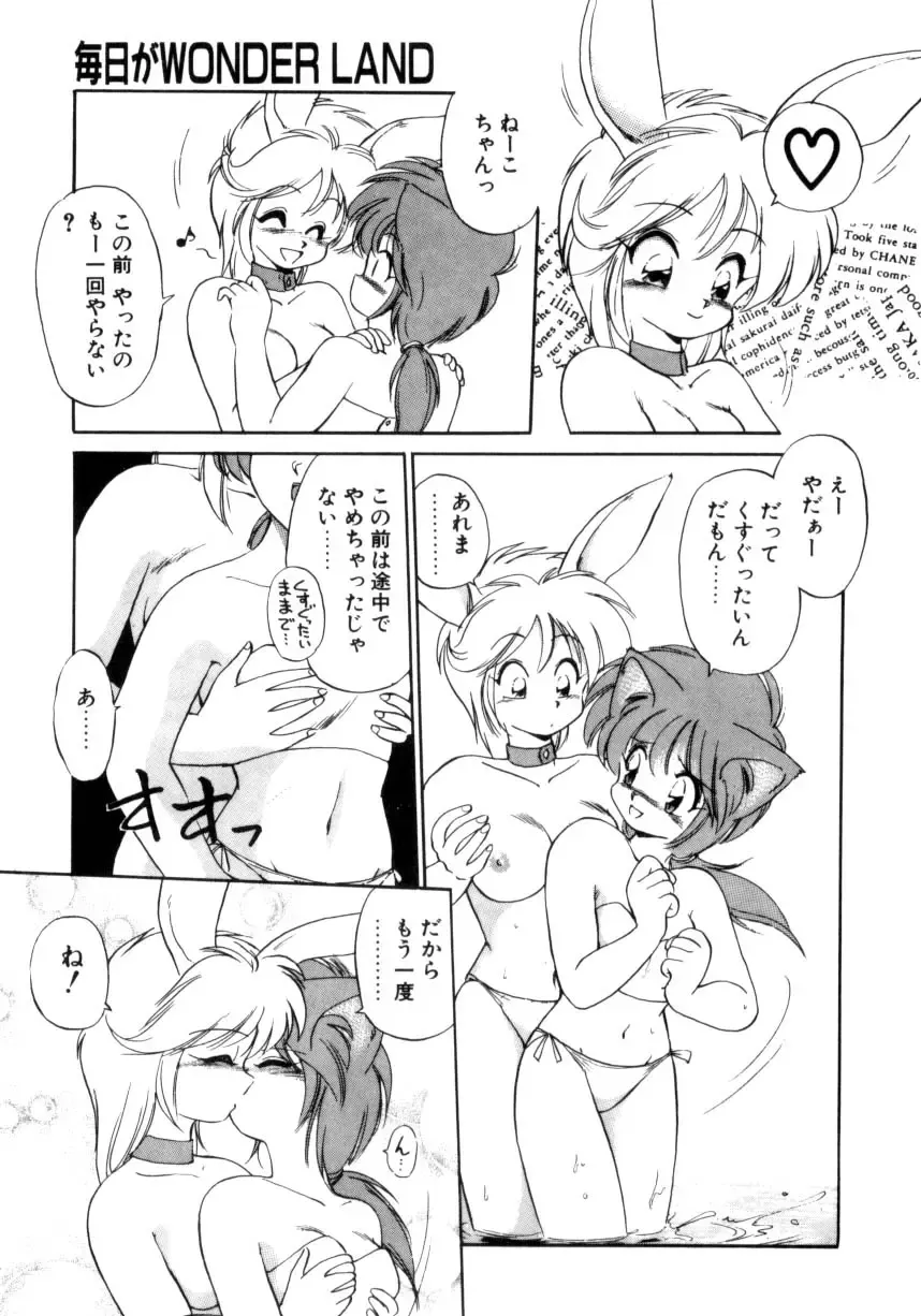 [Ebifly] Mainichi ga Wonderland Fhentai - Page 14