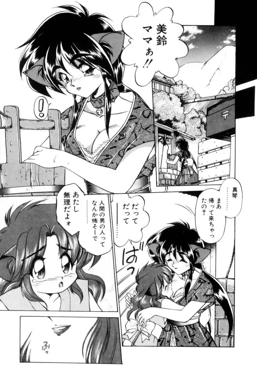 [Ebifly] Mainichi ga Wonderland Fhentai - Page 152