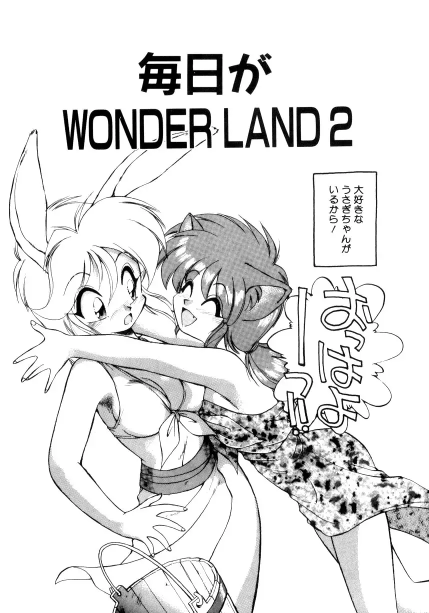 [Ebifly] Mainichi ga Wonderland Fhentai - Page 23