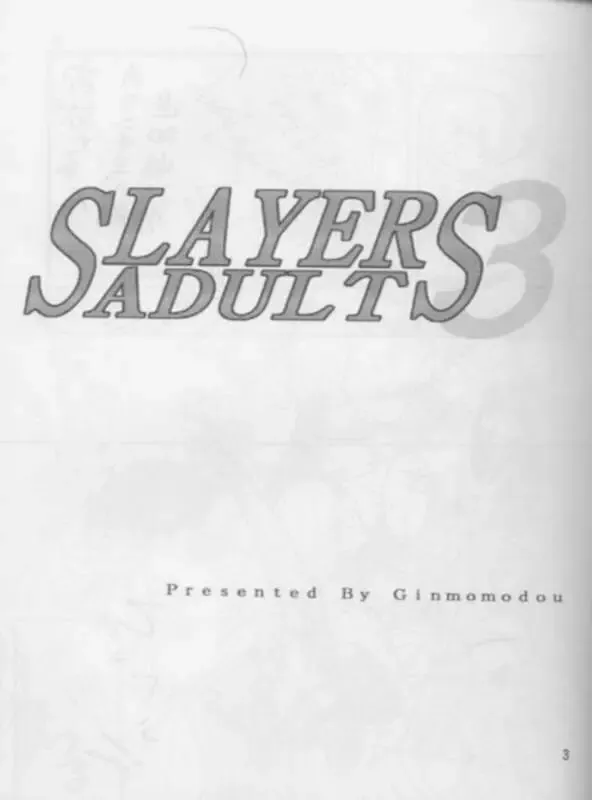 [Mita Satomi] SLAYERS ADULT 3 Fhentai - Page 2