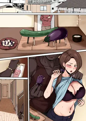 [Terasu Mc] Eromanga (decensored) Fhentai - Page 3