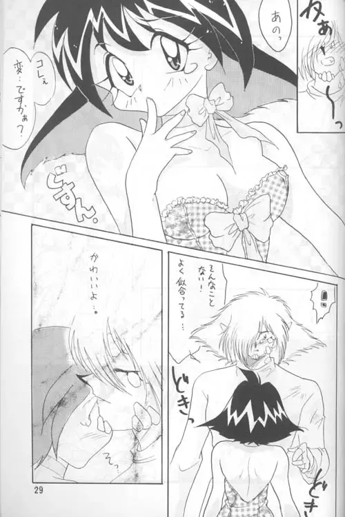 [Mita Satomi] Slayers Adult 4 Fhentai - Page 28