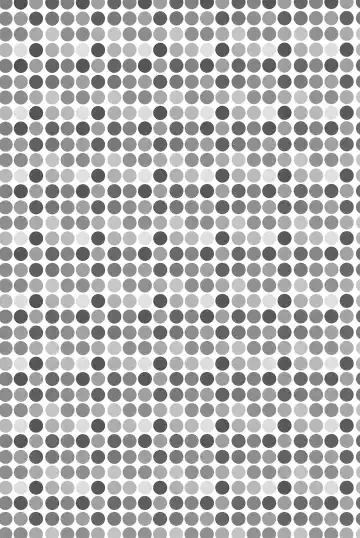 [Gyarin] synergy Fhentai - Page 3