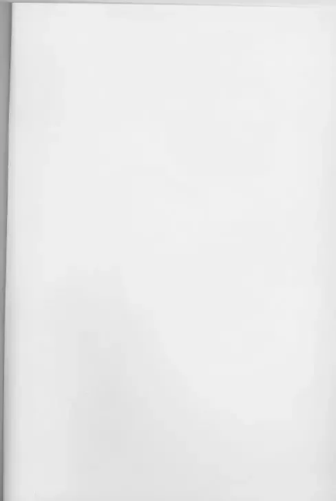 [Nylon] Aralumania 8 DAZZY and MYLKY ENOUGH. Fhentai - Page 2