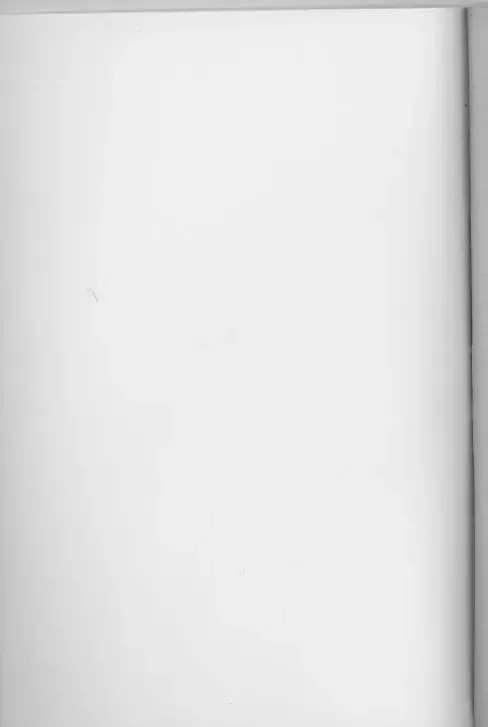 [Nylon] Aralumania 8 DAZZY and MYLKY ENOUGH. Fhentai - Page 27