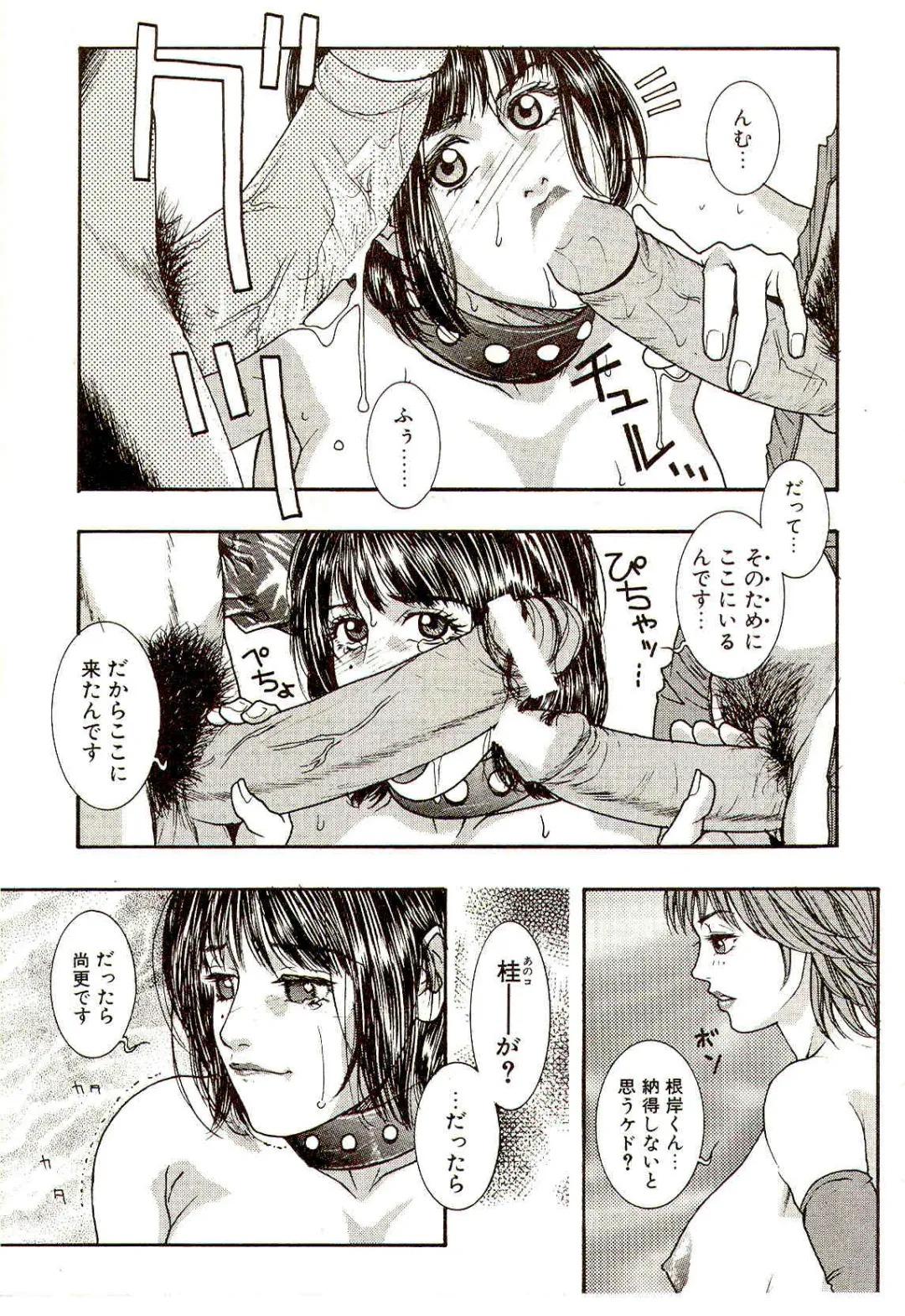 [Kotobuki Kazuki] Sensei no Himitsu | Teacher's Secret Fhentai - Page 155