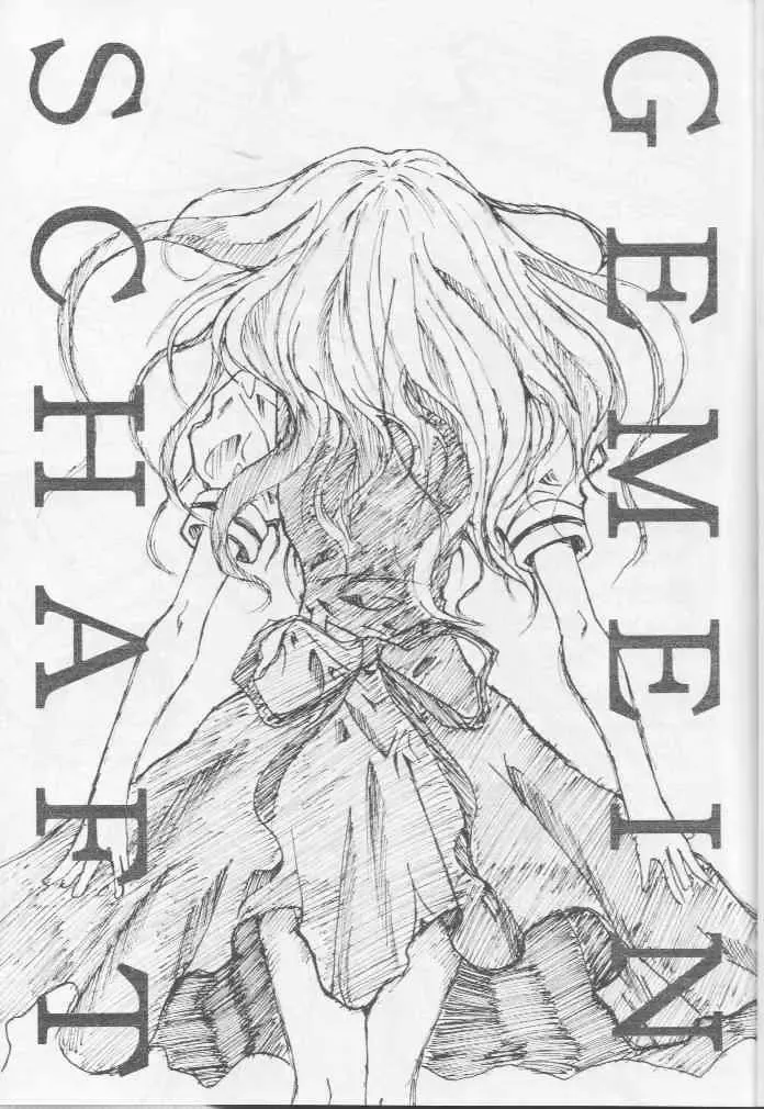 [Teira] GEMEIN SCHAFT Fhentai - Page 2