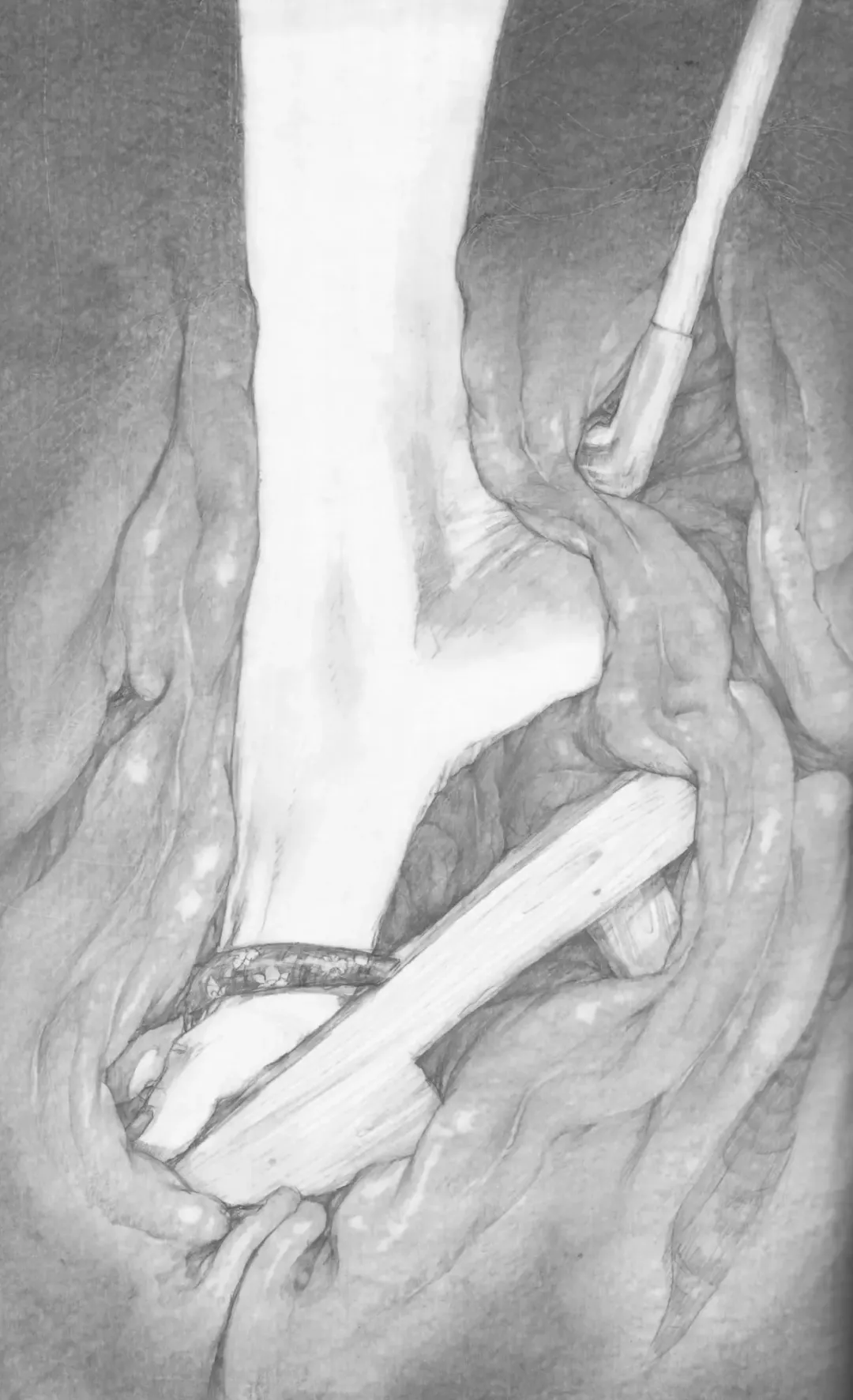 [Samura Hiroaki] Hitodenashi no Koi - The love of the brute Fhentai - Page 63