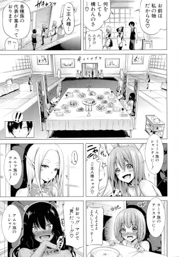 [Akatsuki Myuuto] Isekai Harem Paradise Jou Fhentai - Page 150