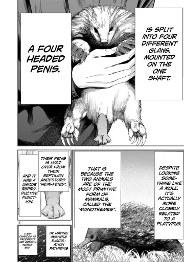 [Sumita Kazuasa] Isn't It Too Much? Inaba-san/Hoshi Gari Sugidesho? Inaba-san chapter 2 Fhentai - Page 11