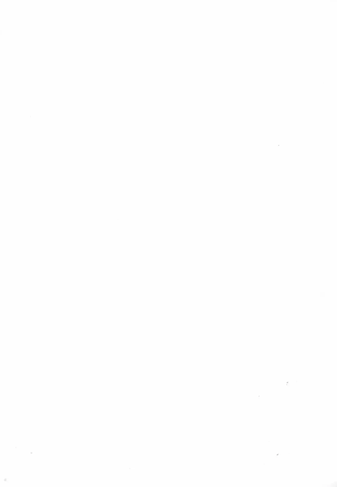 [Kichiku Hiroshi] KICHIKU BOOK 6-0.1 Fhentai - Page 2