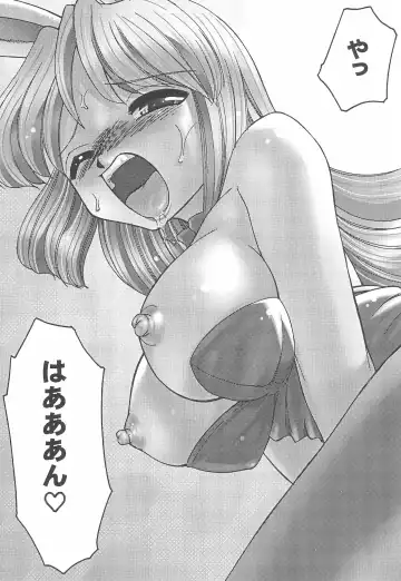 [Mizuki Hitoshi] Ecomanga Ootama 2+α Fhentai - Page 25