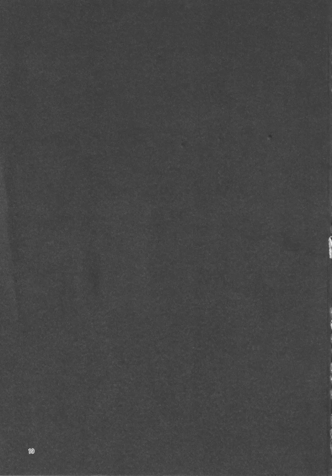 [Pochicolo] Imouto ga Tanemaki Suru node Fhentai - Page 18